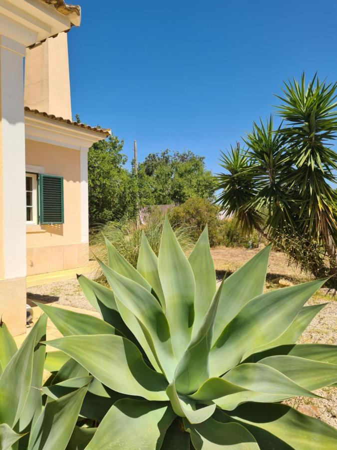 Casa Dos Ventos Bed and Breakfast Olhão Buitenkant foto
